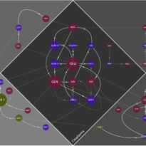 Molecular interaction networks I & II