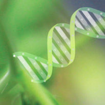 Millenium Nucleos for plant functional genomics